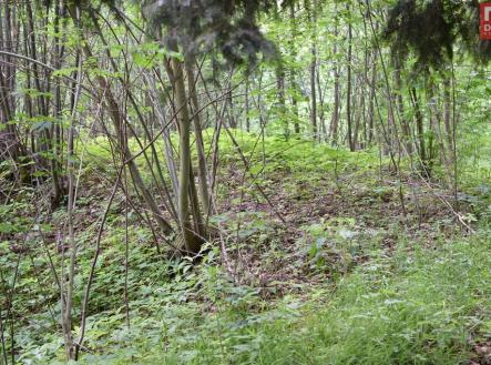 dsc-0005.jpg | Prodej - pozemek, ostatní, 4 584 m²