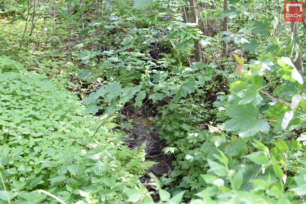 dsc-0002.jpg
