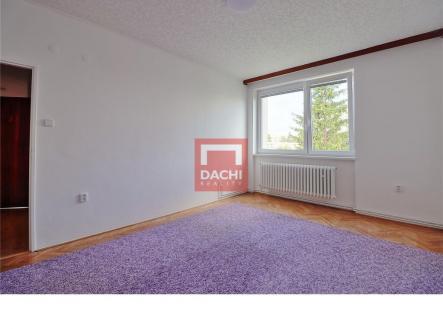 dachi-007.jpg | Pronájem bytu, jiný, 18 m²