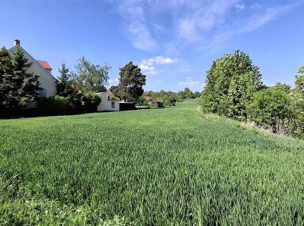 dachi-20250507-103436.jpg | Prodej - pozemek pro bydlení, 4 525 m²