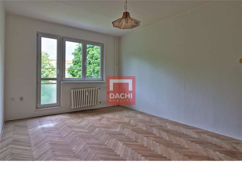 dachi-004.jpg