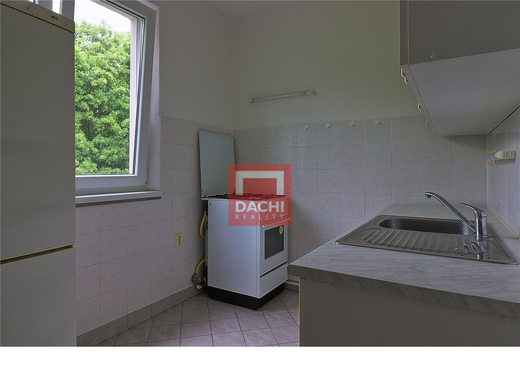 dachi-001.jpg