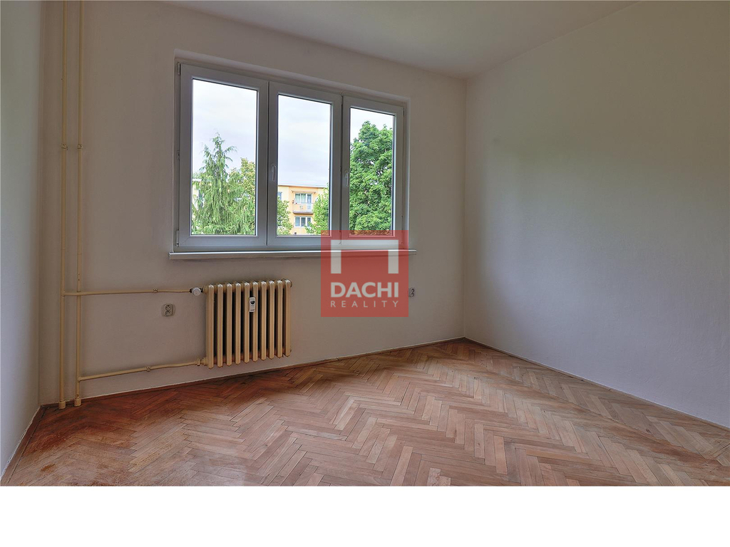 dachi-003.jpg