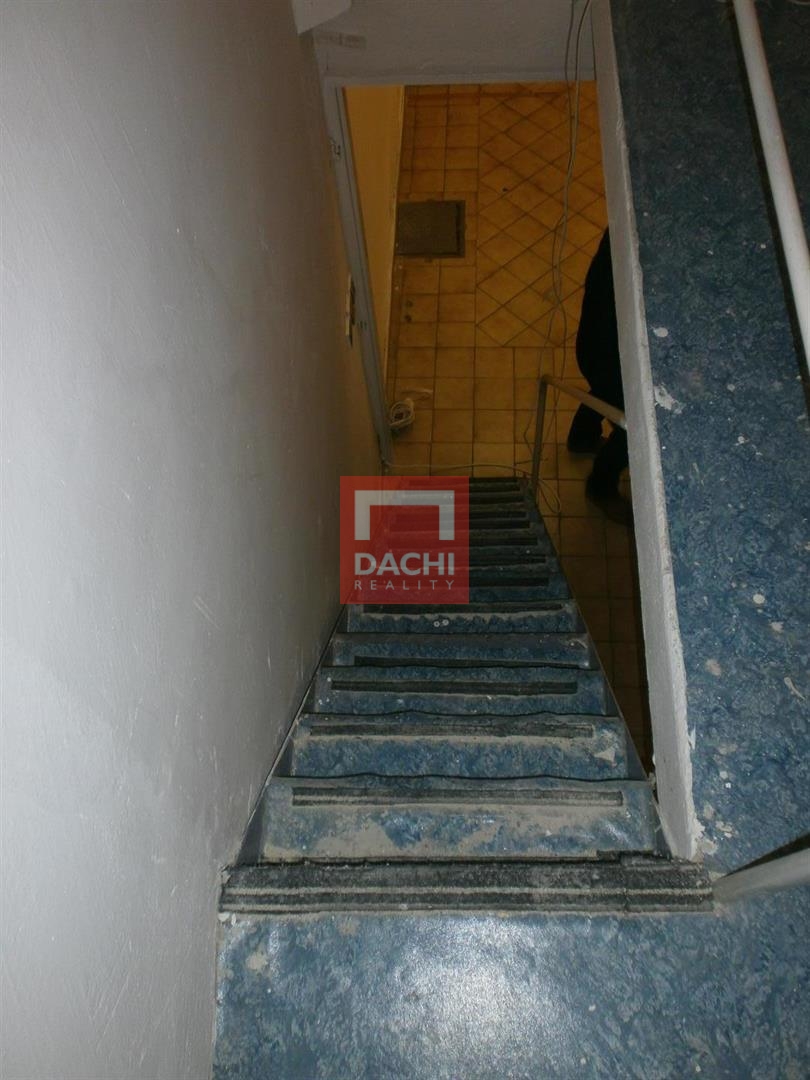 p1010022.jpg