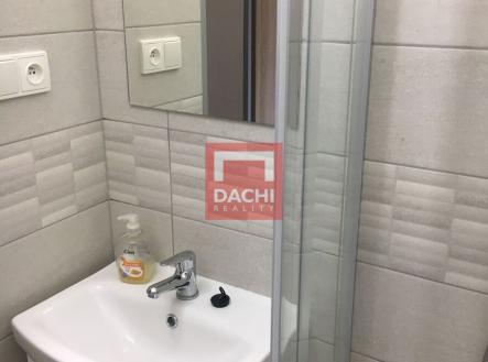 4c60d798-48a7-4879-add0-d9fe7af375ba.jpg | Pronájem bytu, 1+1, 35 m²
