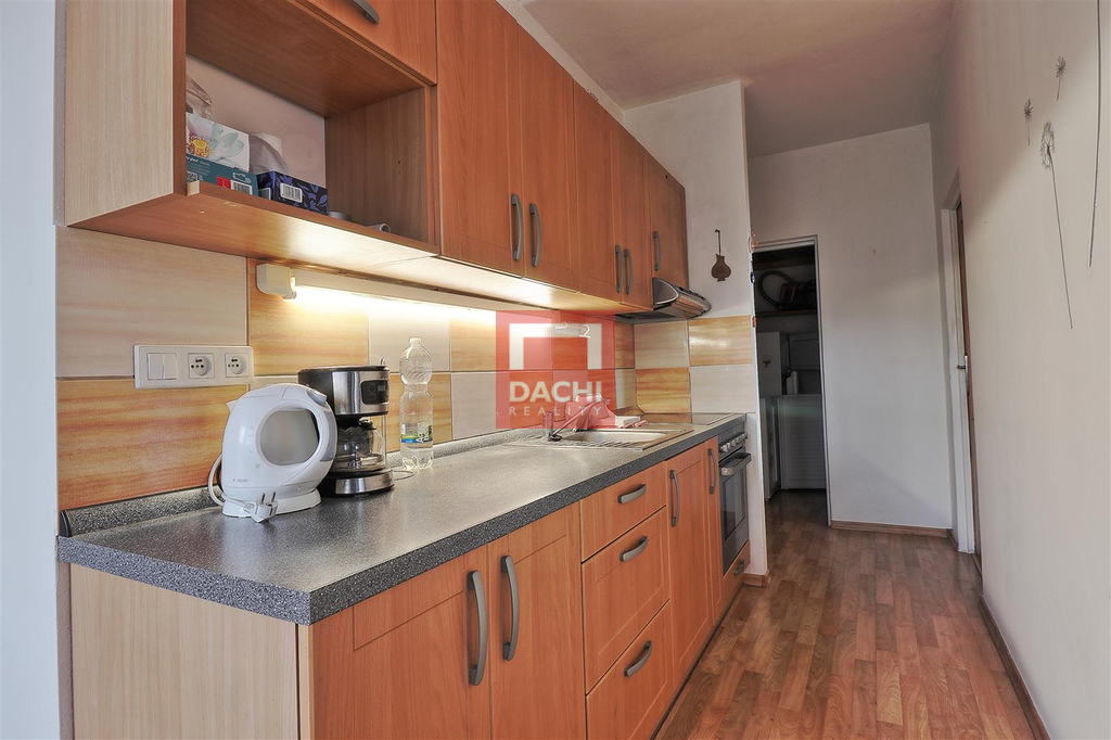 dachi-001.jpg