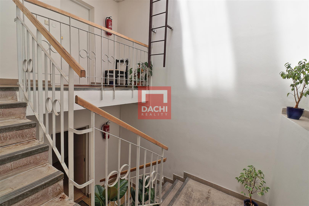 dachi-018.jpg