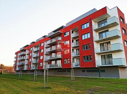 6.jpg | Pronájem bytu, 1+kk, 30 m²