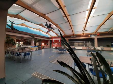 20241106-105647-resized.jpg | Pronájem - kanceláře, 202 m²