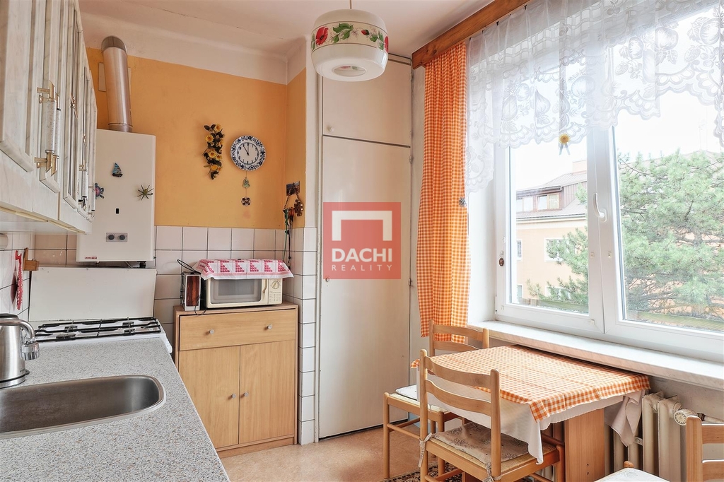 dachi-002.jpg
