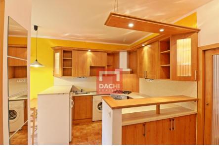 dachi-09.jpg | Pronájem bytu, 1+1, 48 m²