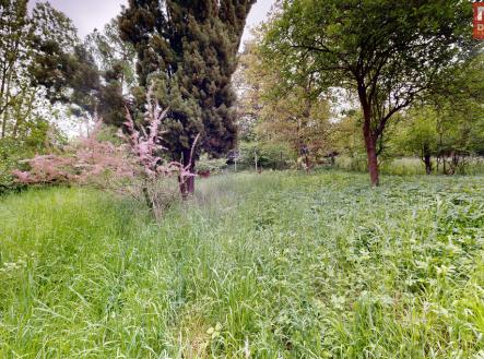 7-cekynska-11242025-203035.jpg | Prodej - dům/vila, 60 m²