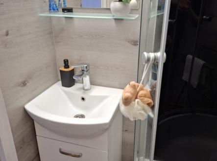 koupelna2.jpg | Pronájem bytu, 2+1, 53 m²