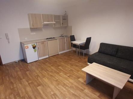 20231222-143239.jpg | Pronájem bytu, 1+kk, 27 m²
