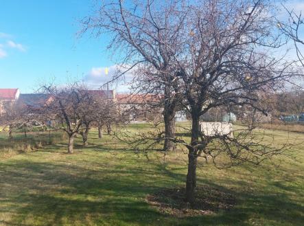 20251122-114727.jpg | Prodej - pozemek, zahrada, 1 080 m²