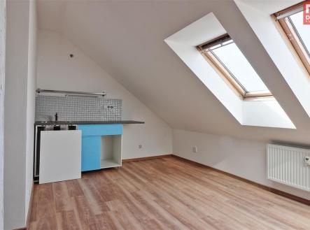 dachi-001.jpg | Pronájem bytu, 1+kk, 19 m²