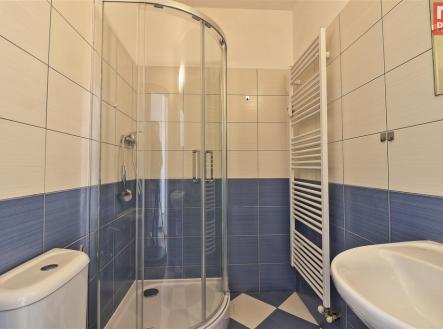 dachi-003.jpg | Pronájem bytu, 1+kk, 19 m²