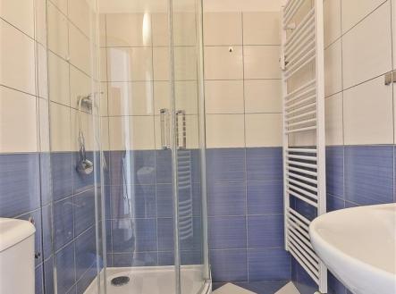 dachi-004.jpg | Pronájem bytu, 1+kk, 19 m²