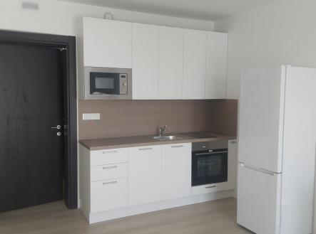 20260512-111007.jpg | Pronájem bytu, 1+kk, 34 m²