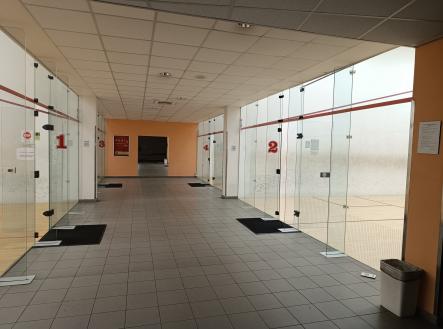 IMG_20250529_100652 | Pronájem - komerční objekt, sklad, 308 m²