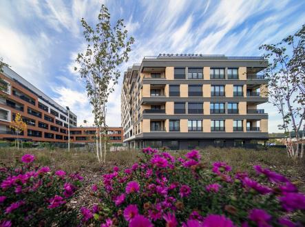 02 | Prodej bytu, 1+kk, 30 m²