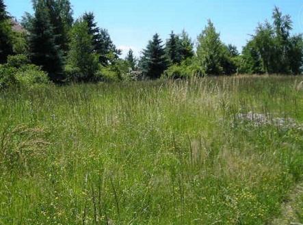 . | Prodej - pozemek pro bydlení, 1 000 m²