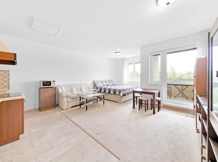 Prodej bytu, 1+kk, 45 m² obrázek
