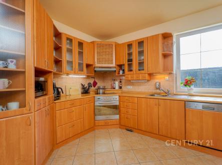 Pronájem - dům/vila, 290 m²