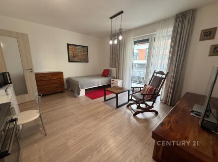 . | Pronájem bytu, 1+kk, 41 m²