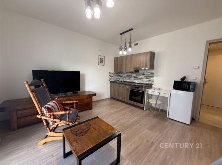 . | Pronájem bytu, 1+kk, 41 m²
