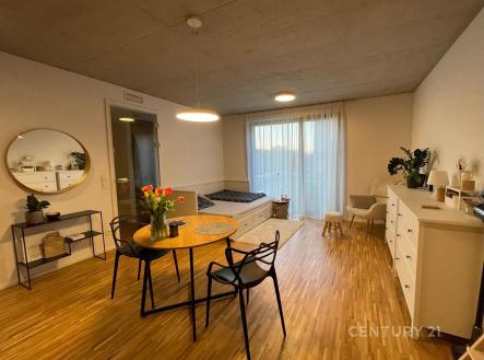 . | Pronájem bytu, 1+kk, 26 m²