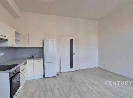 . | Pronájem bytu, 1+1, 57 m²