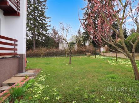 Zahrada s udržovaným trávníkem, kvetoucími stromy a živým plotem, nabízí klidné prostředí. Vhodná pro rodinné aktivity a relaxaci. | Pronájem - dům/vila, 234 m²