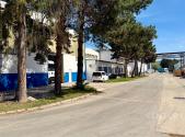 Pronájem - výrobní prostor, 1 000 m²