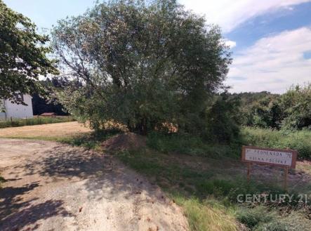 "" | Prodej - pozemek pro bydlení, 3 256 m²