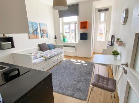 Pronájem bytu, 1+kk, 21 m²