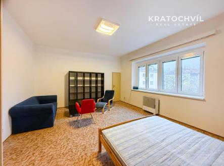 Pronájem bytu, 1+kk, 42 m²