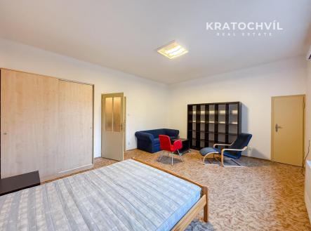 Pronájem bytu, 1+kk, 42 m²