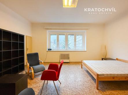 Pronájem bytu, 1+kk, 42 m²