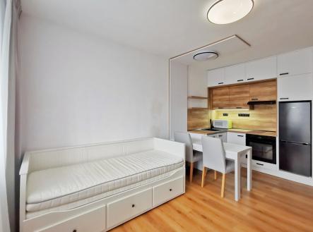 img-20250407-150239.jpg | Pronájem bytu, 1+kk, 26 m²