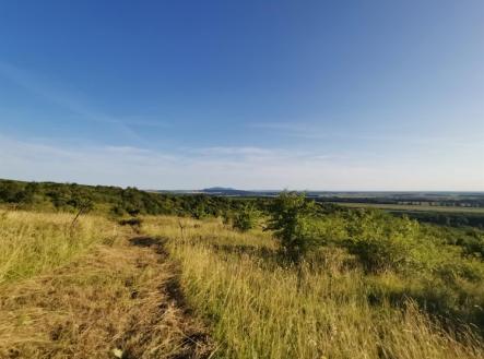 Prodej - pozemek, zahrada, 1 751 m² obrázek
