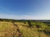Prodej - pozemek, zahrada, 1 751 m²