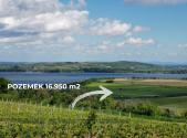 Prodej - pozemek, zemědělská půda, 16 950 m²