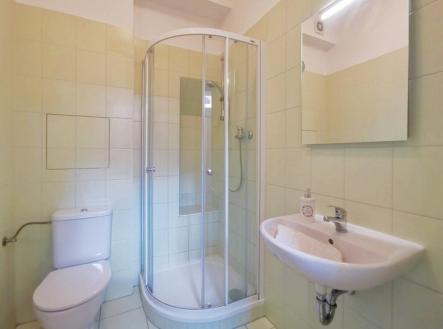 img-20210609-134508.jpg | Pronájem bytu, 1+1, 39 m²