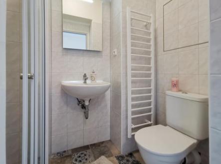 img-20200811-180608.jpg | Pronájem bytu, 2+kk, 36 m²