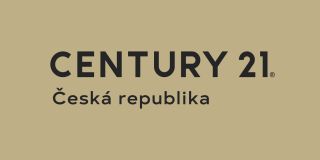 CENTURY 21 Reality logo