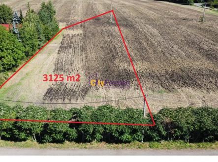 Stavební pozemek v Dobrovici