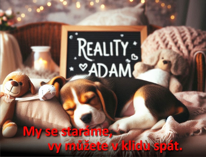 Reality Adam